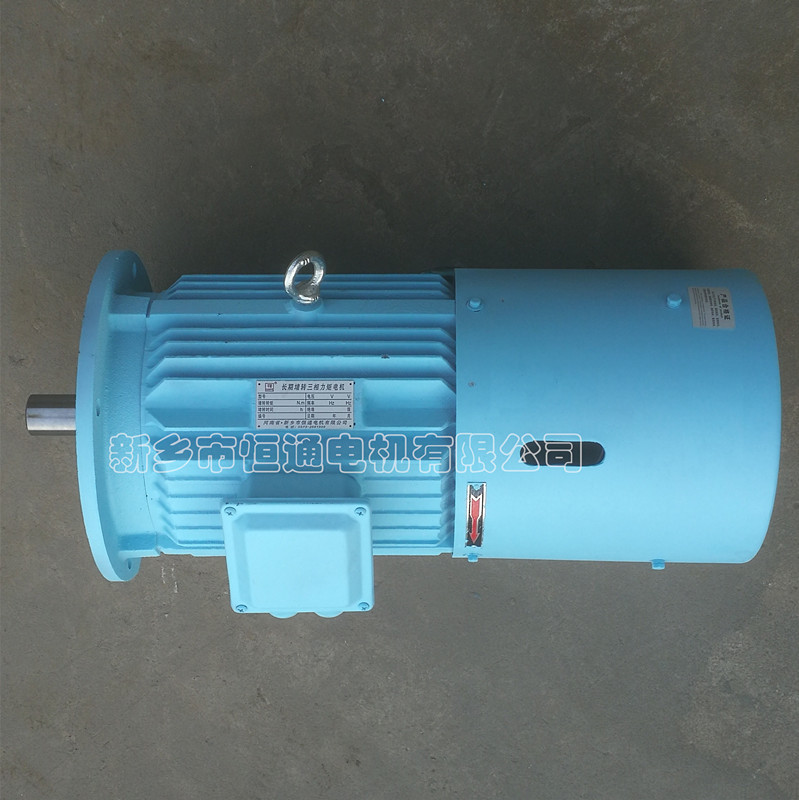 Long-term stall torque motor。